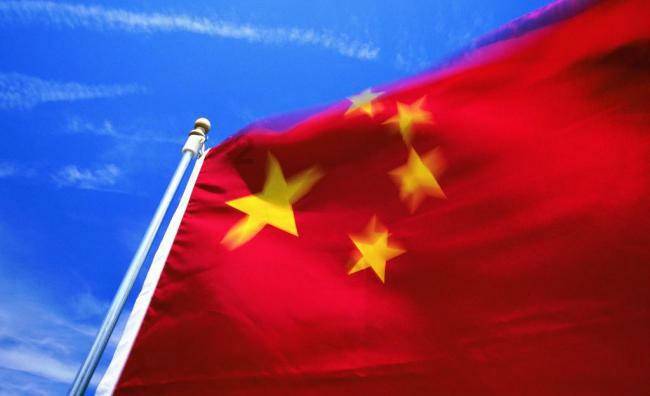救援受困的小野猫